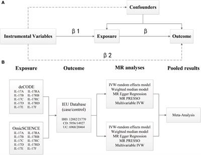 Interleukin-17 and inflammatory bowel disease: a 2-sample Mendelian randomization study